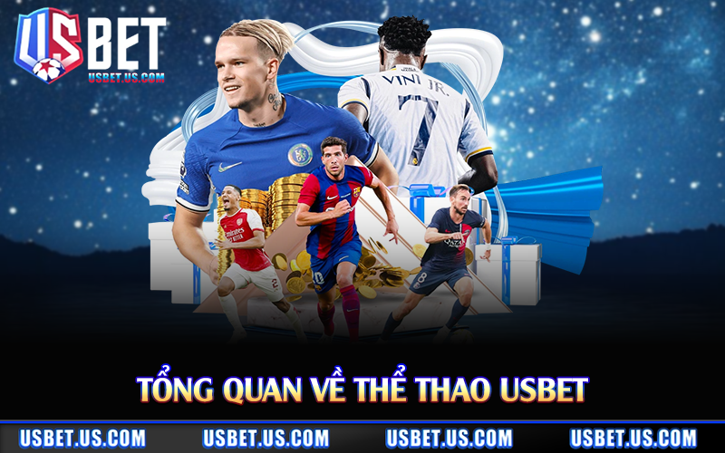 Tổng quan về thể thao Usbet